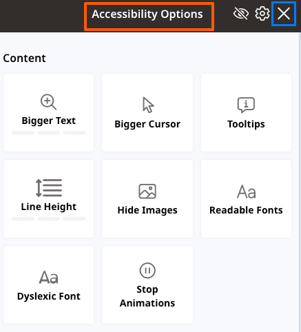 Screenshot of the Accessibility options on the Terra Outdoor Living website.